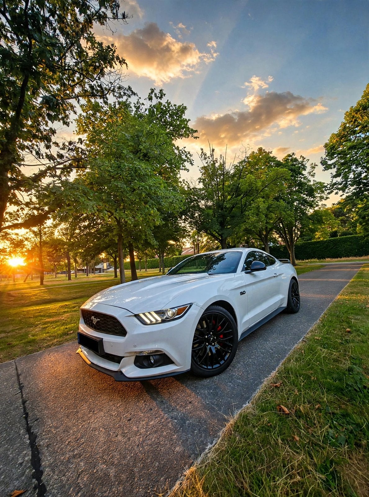 Ford Mustang 2.3 EcoBoost/2017 /49.500km/BE Auto + CarPass, Automaat, Wit, Bedrijf, Mustang