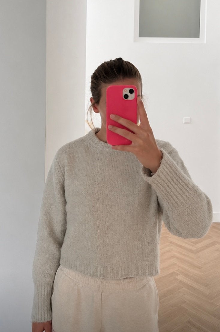 Trui Zara, Kleding | Dames, Ophalen, Zo goed als nieuw, Maat 38/40 (M), Grijs