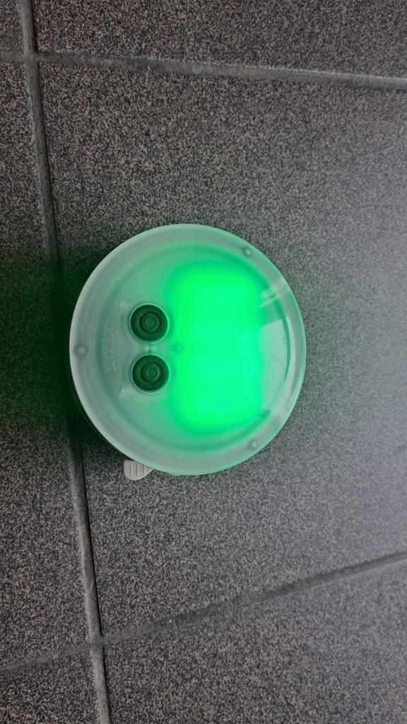 Intex jacuzzi lampje, Ophalen