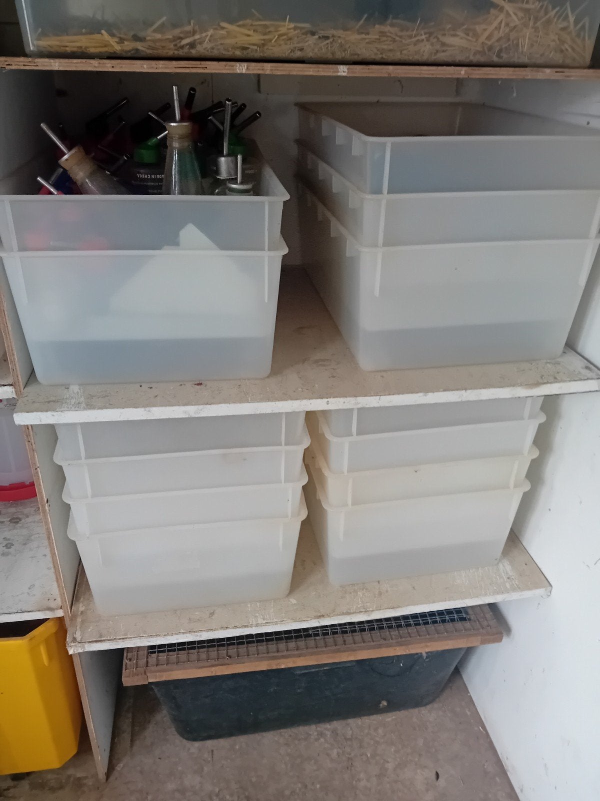 20 .T4 labobakken te koop, Dieren en Toebehoren, Ophalen, Gebruikt, Overige typen