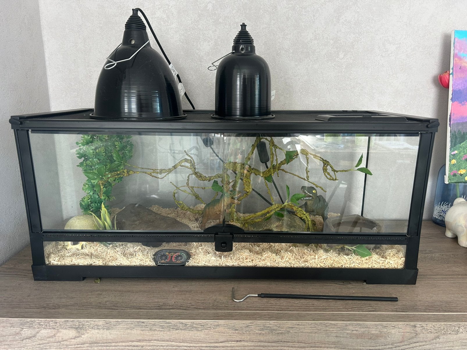 Terrarium met koppel korenslangen, Dieren en Toebehoren, Ophalen, Zo goed als nieuw