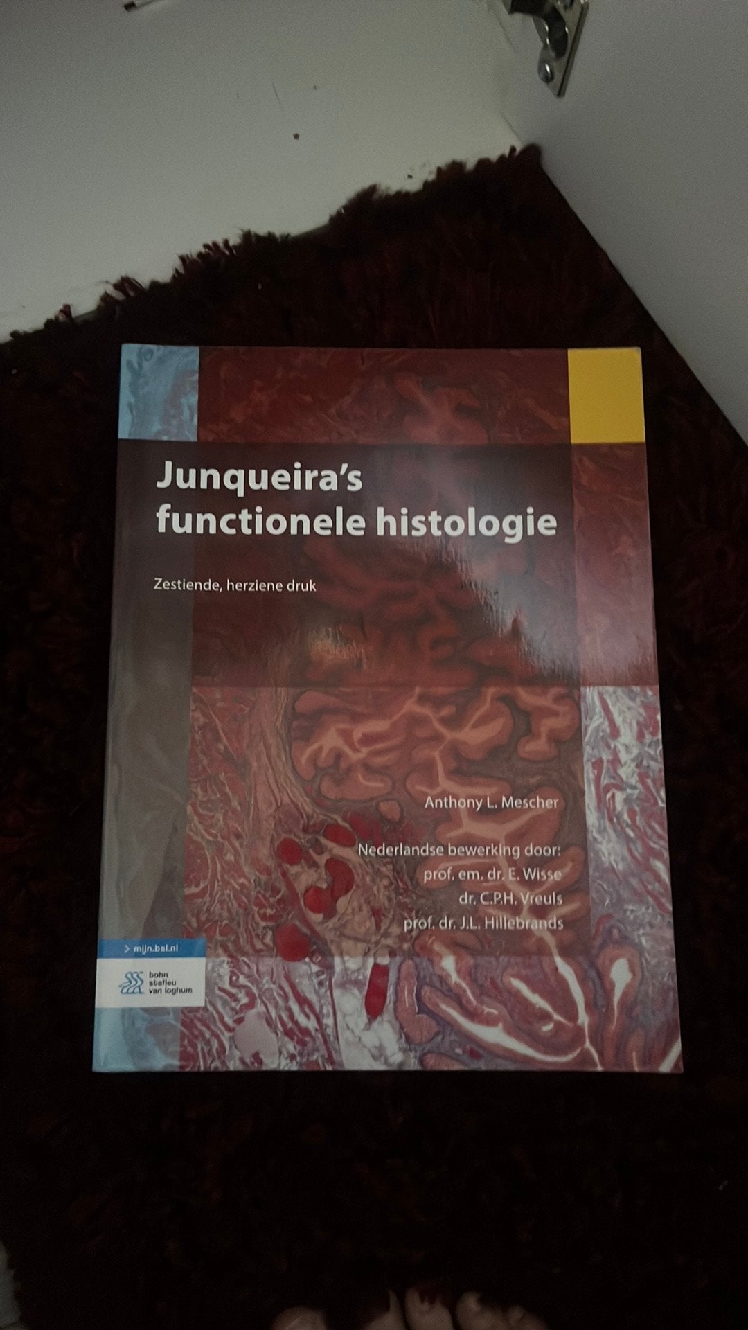 Anthony L. Mescher - Histologie fonctionnelle de Junqueira, Livres, Enlèvement, Anthony L. Mescher; E. Wisse; C.P.H. Vreuls; J.L. Hillebrands