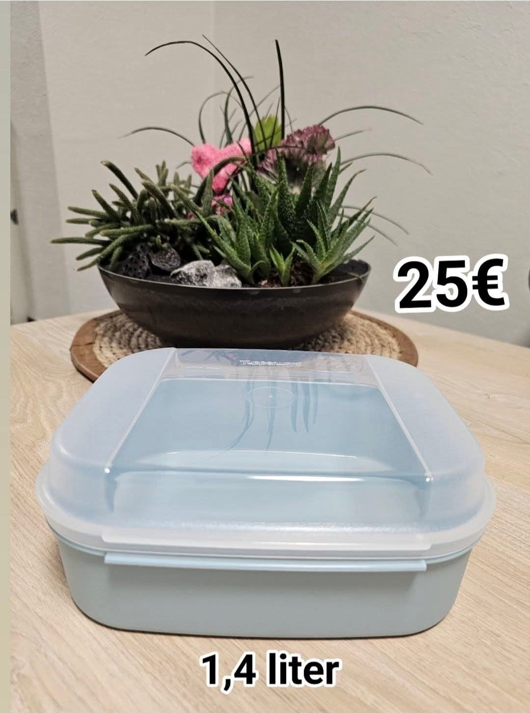 Boîte à charnières Tupperware, Enlèvement ou Envoi, Neuf