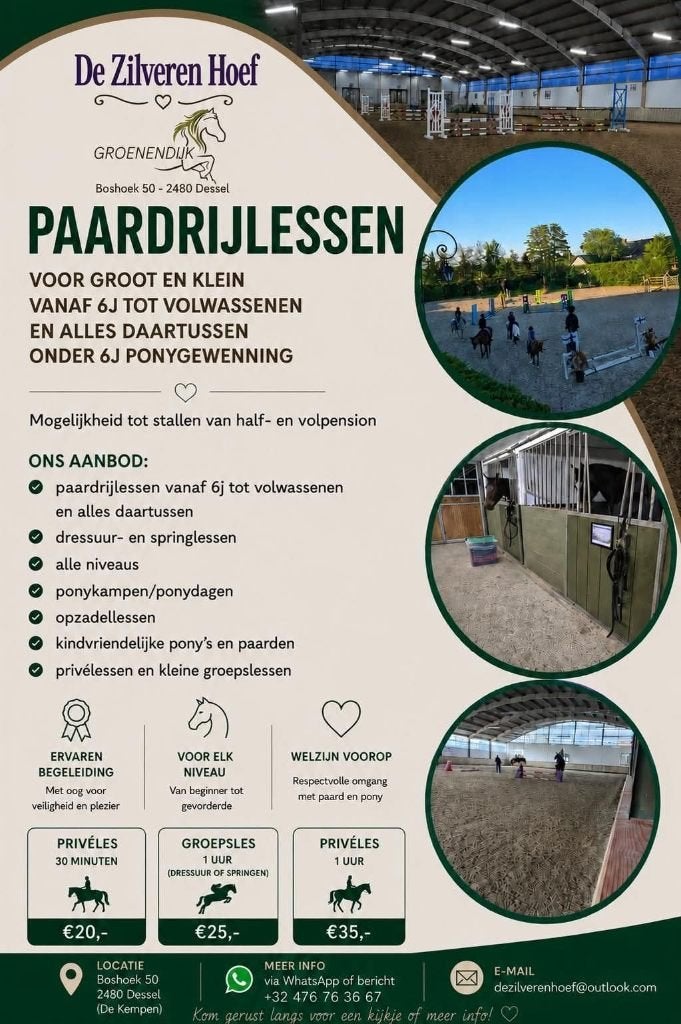 Paardrijlessen in Dessel, Dieren en Toebehoren