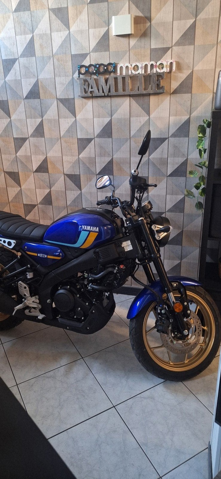 yamaha xsr 125 bleu, Enlèvement, Yamaha