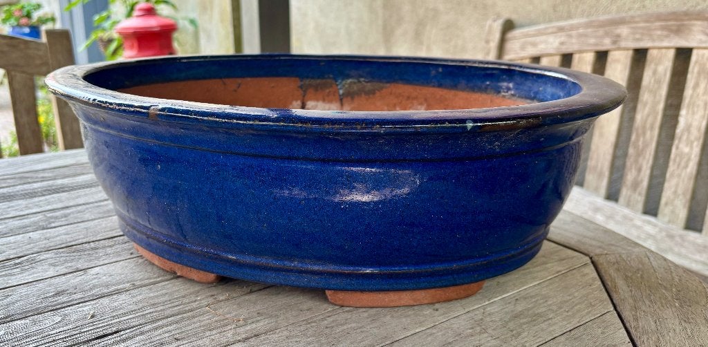 Grote schaal voor Bonzai, Tuin en Terras, Ophalen, 40 cm of meer, Binnen, Minder dan 40 cm