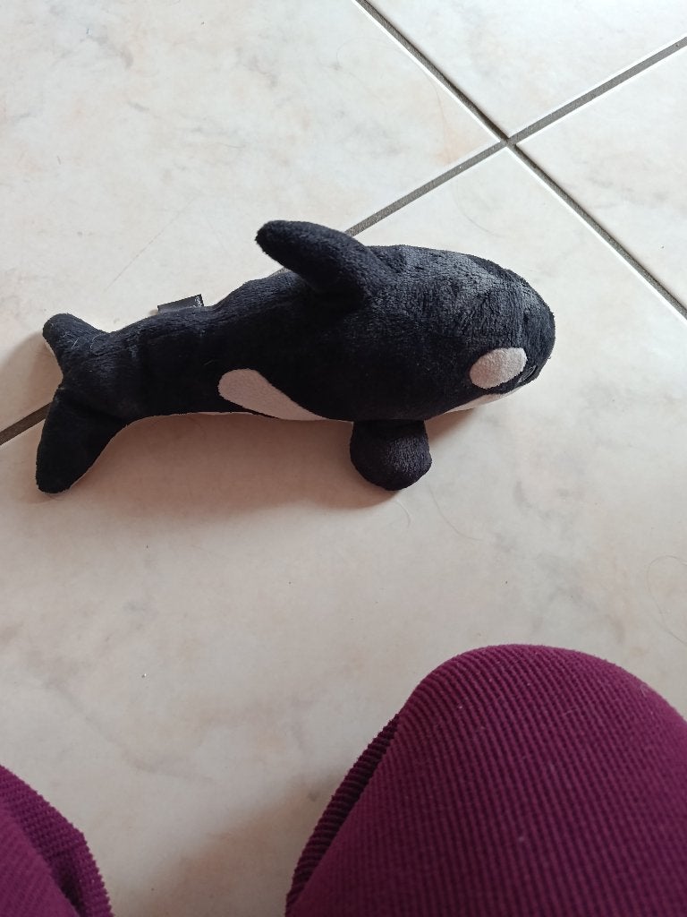 knuffel  loro parque orka (doos sept 2026), Ophalen of Verzenden, Nieuw