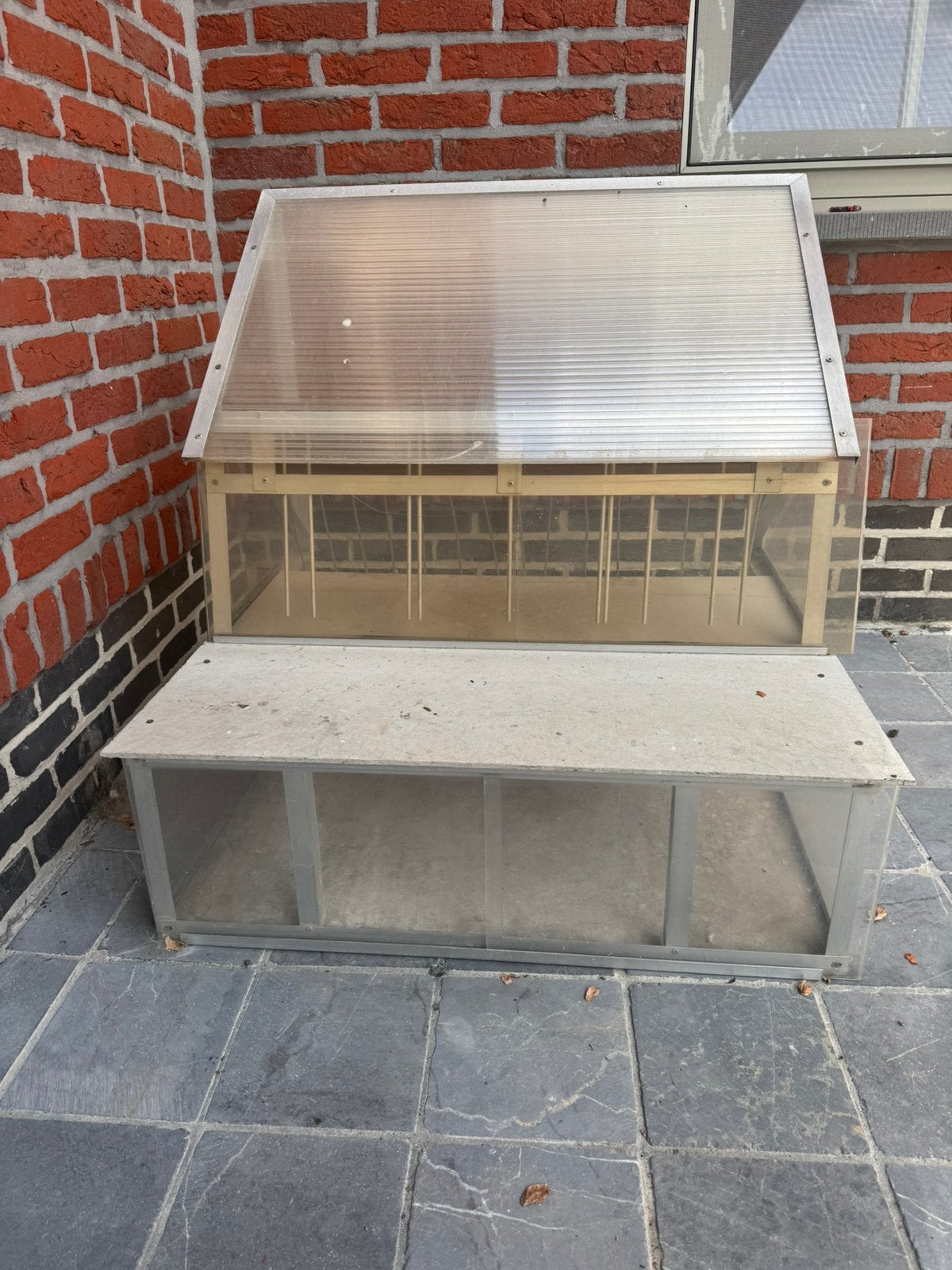 pigeon spoutnik (en cage de vol), Animaux & Accessoires