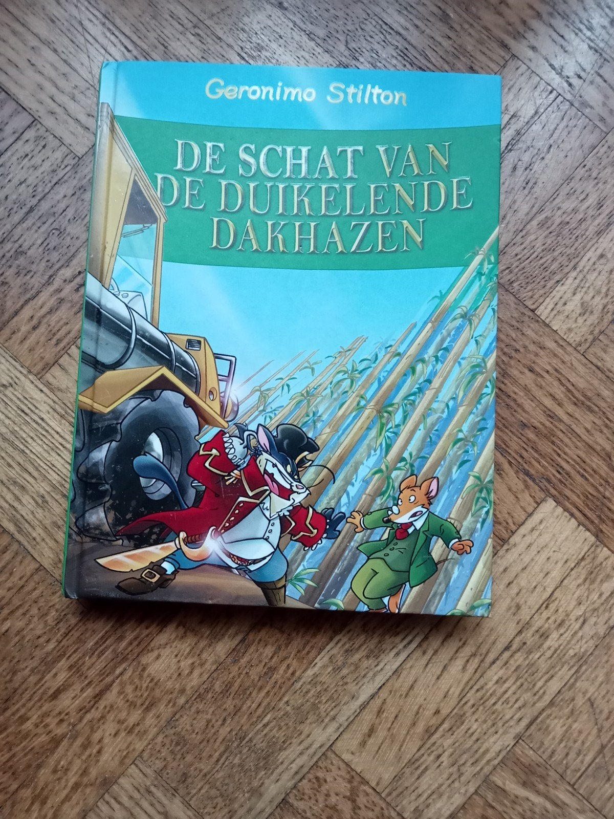 Geronimo Stilton: De schat van de duikelende dakhazen, Enlèvement ou Envoi, Utilisé