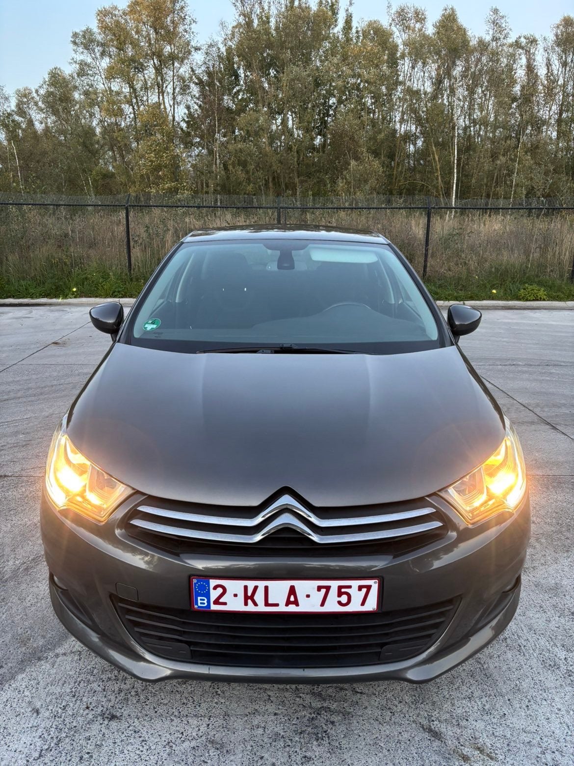Citroën C4 – 1.2 – 110 kW – Exclusive, Autos, Achat, Particulier, ABS, Électrique