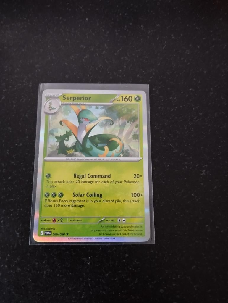 Commande parfaite de la carte Shiny Pokémon, Enlèvement ou Envoi, Neuf