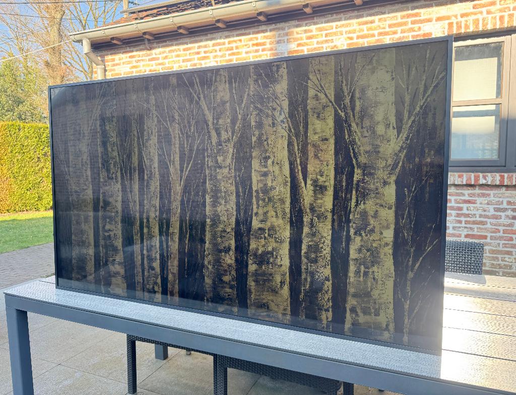 Samsung "The Frame" QLED TV 65" (120hz), QLED, 120 Hz, Comme neuf, Enlèvement