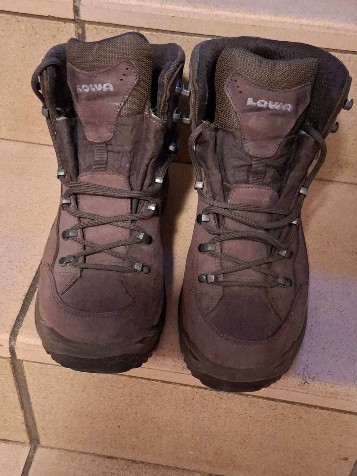 LOWA RENEGATE EVO GTX MID pointure eur 42, Enlèvement, Neuf, Chaussures