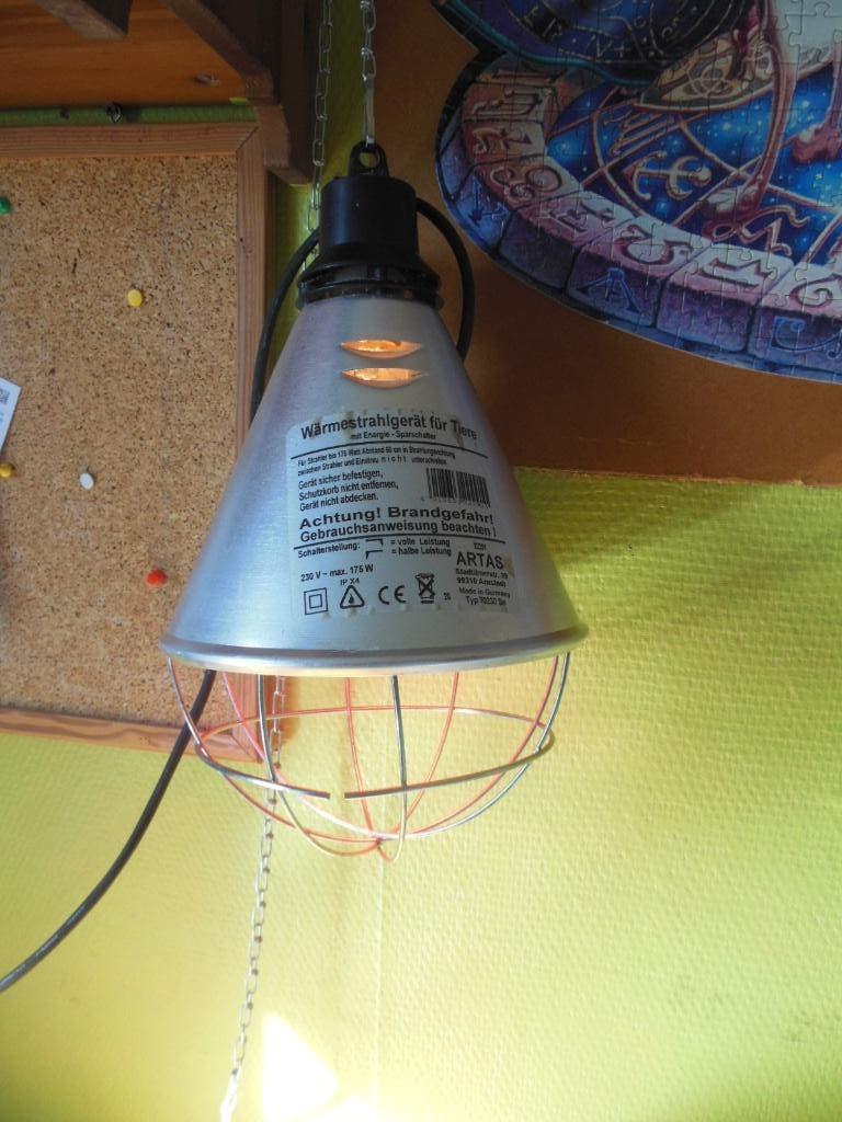 lampe chauffante poussins, Enlèvement, Utilisé, Poulailler