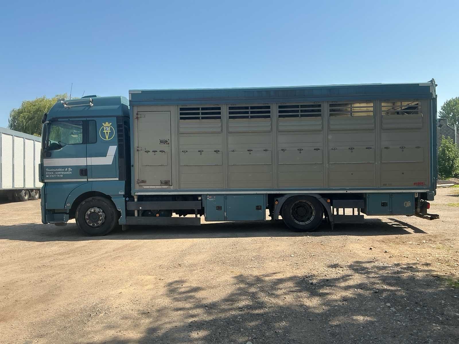 2014 MAN TGX Dierentrasnport Vrachtwagen, Euro 6, Bedrijf, Te koop, MAN