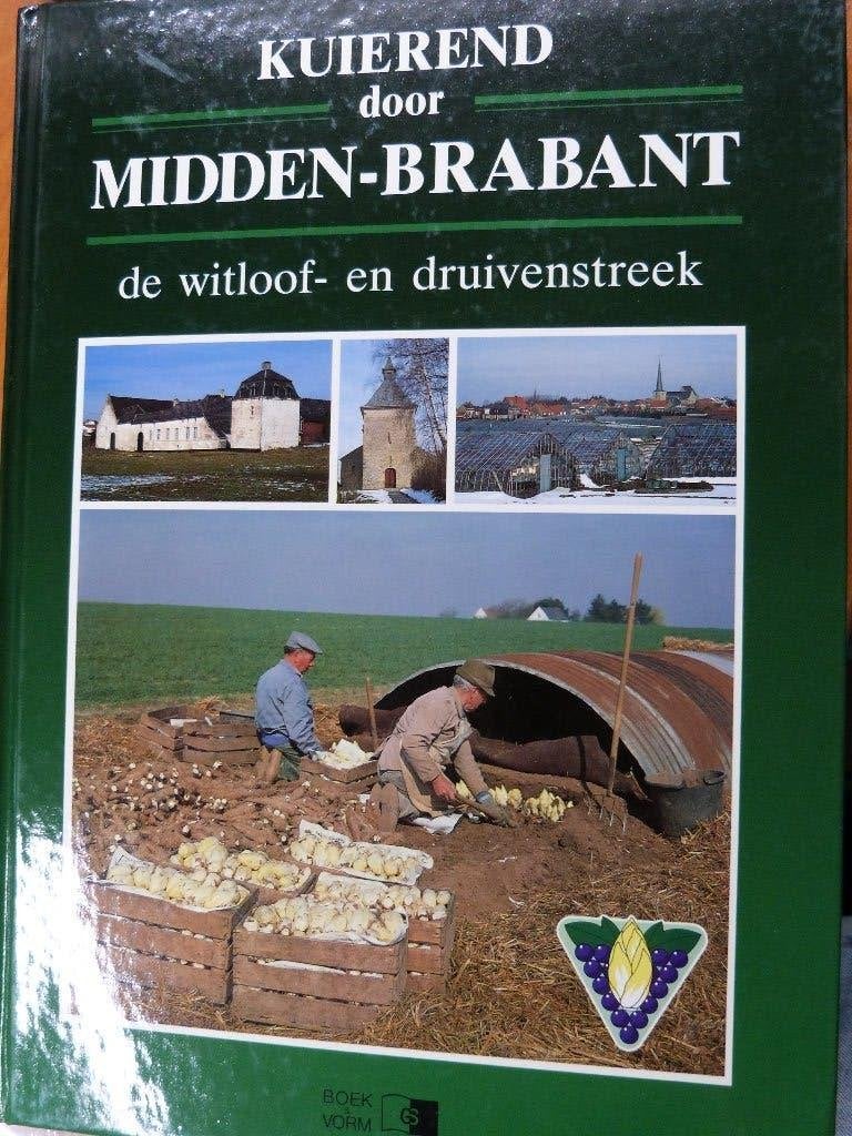 geschiedenis witloof druivenstreek erfgoed Vlaams-Brabant, Verzenden, 20e eeuw of later, Gelezen