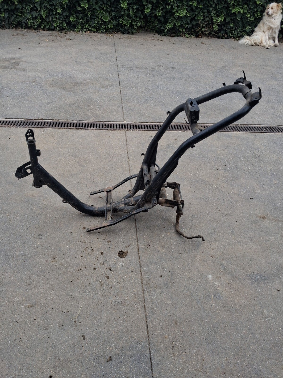 frame honda sfx, Enlèvement, Utilisé, Cadre, Honda
