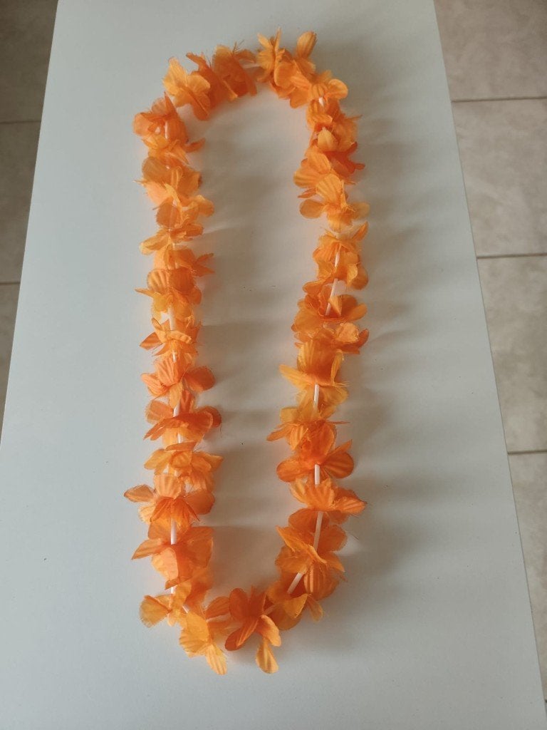 Krans voor kinderen carnaval, Ophalen of Verzenden, Gebruikt, Meisje