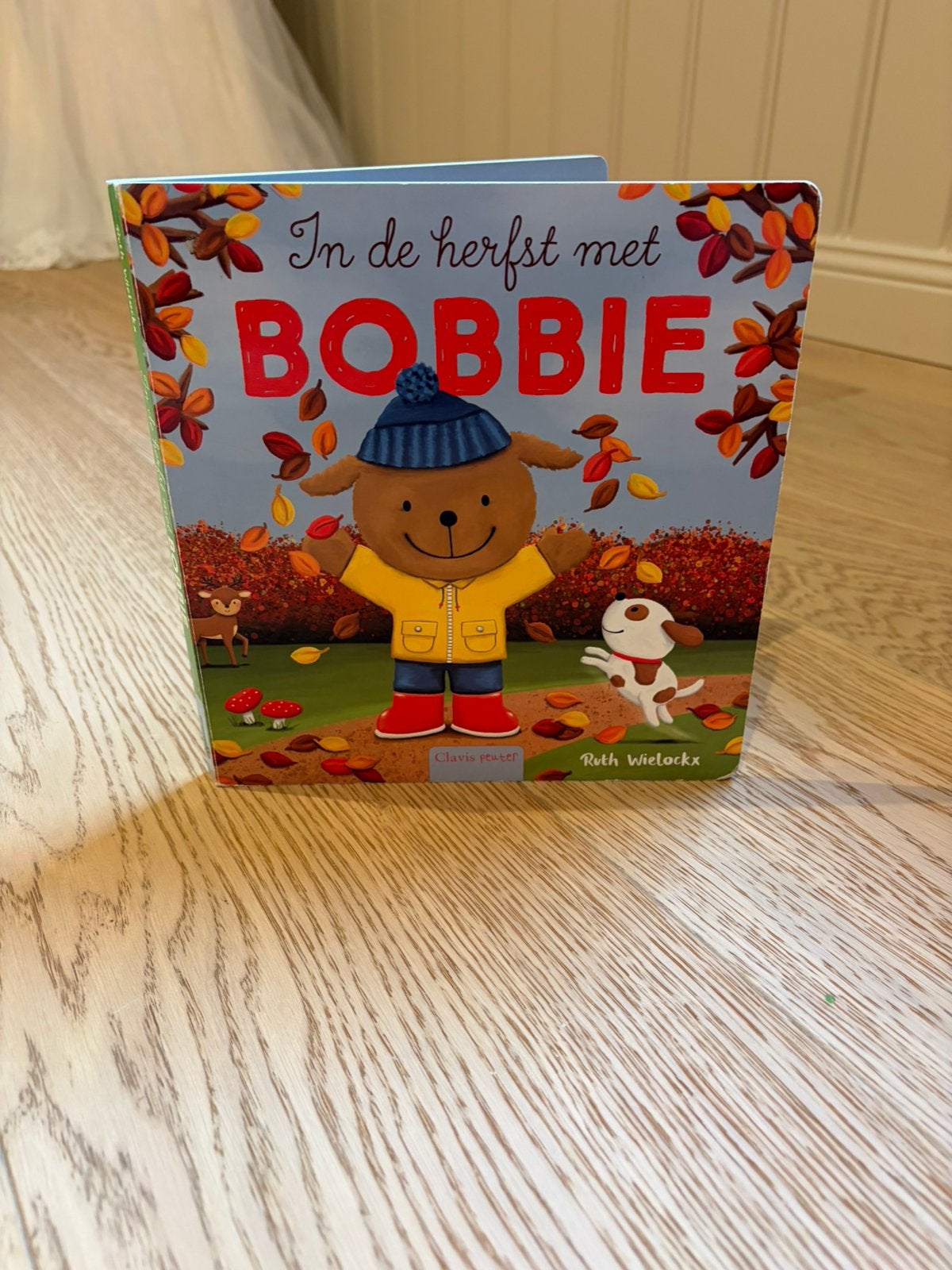 Voorleesboeken, Enlèvement, Comme neuf