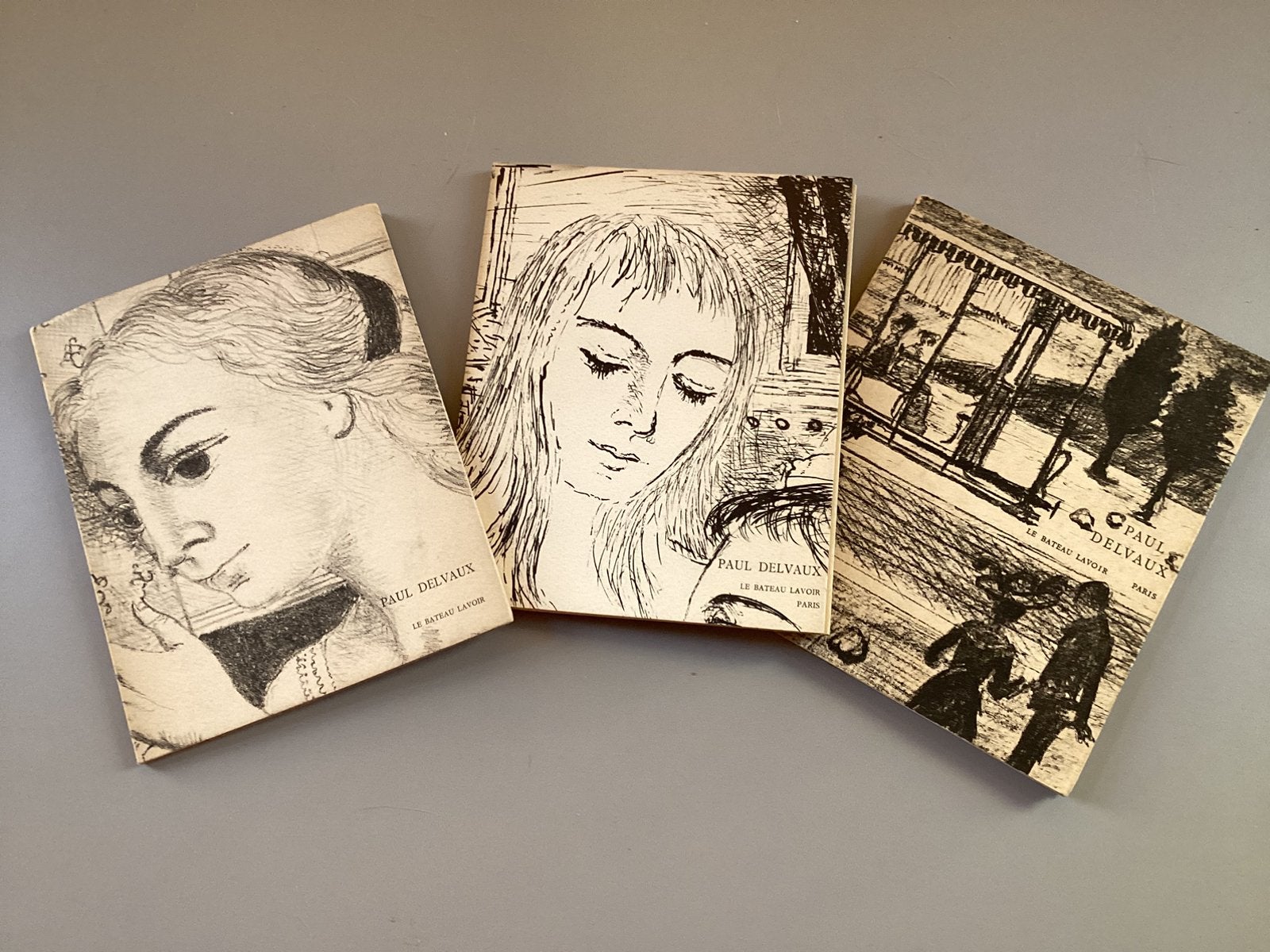 Paul Delvaux... de 3 notitieboekjes van Bateau Lavoir, Ophalen of Verzenden, Gelezen, Schilder- en Tekenkunst