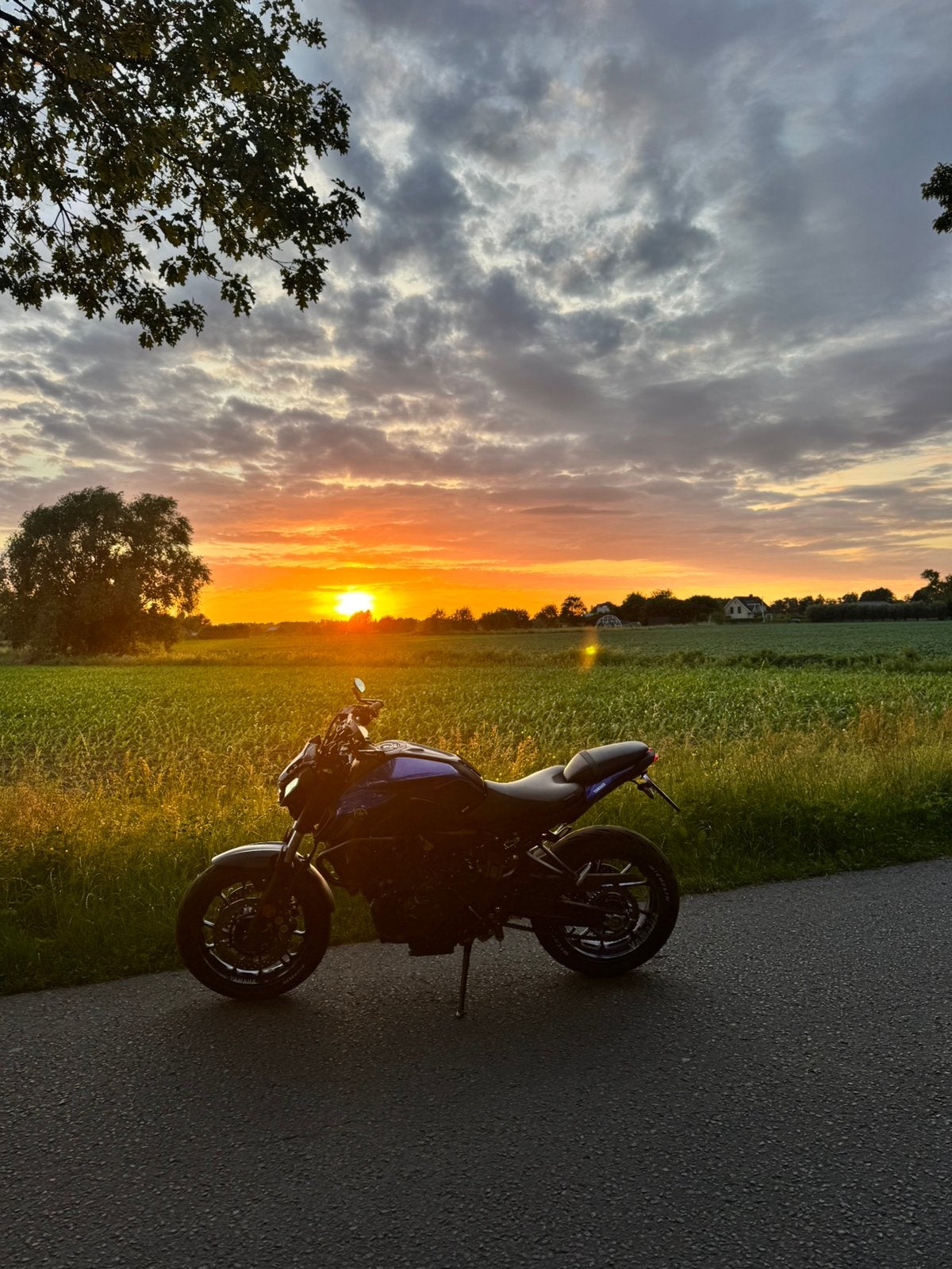 Yamaha mt 07 2024 full Option, Particulier, Quickshifter