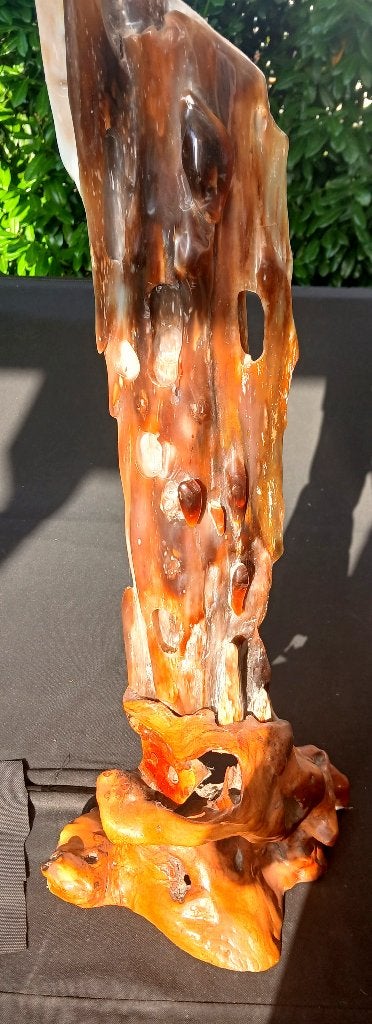 Fossile Plant sculpture petrified wood, Collections, Enlèvement ou Envoi, Fossile
