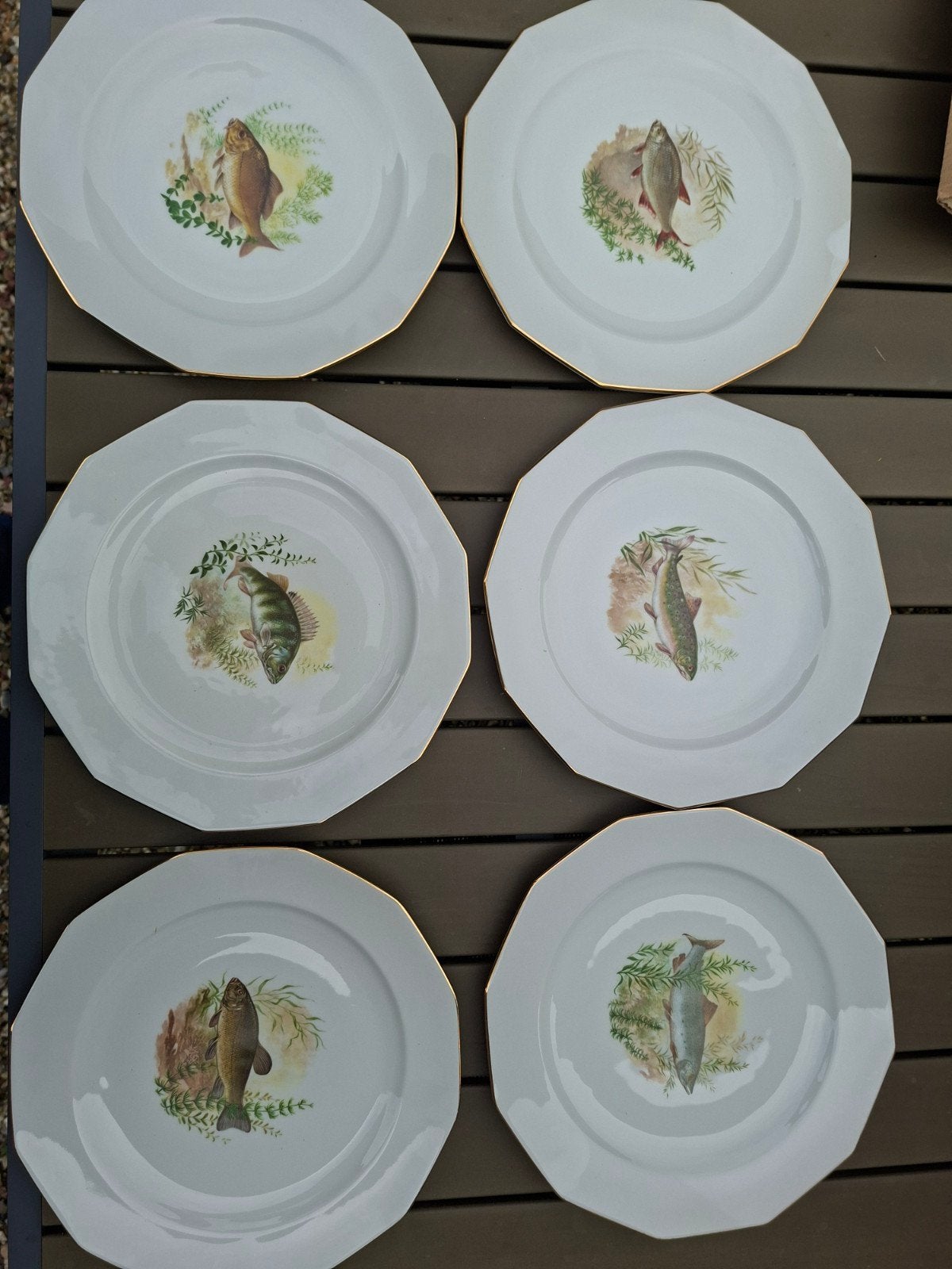 6 borden en schotel met tekeningen van vissen, Enlèvement, Comme neuf, Poterie, Assiettes(s)