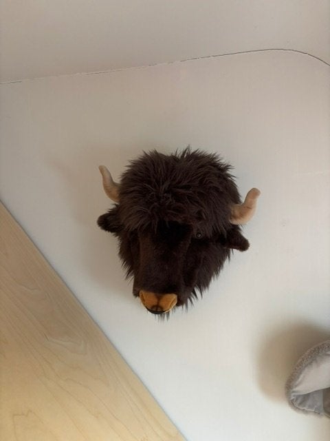 Buffel Alex van Wild and soft, Bruin, Ophalen, Zo goed als nieuw, Wanddecoratie