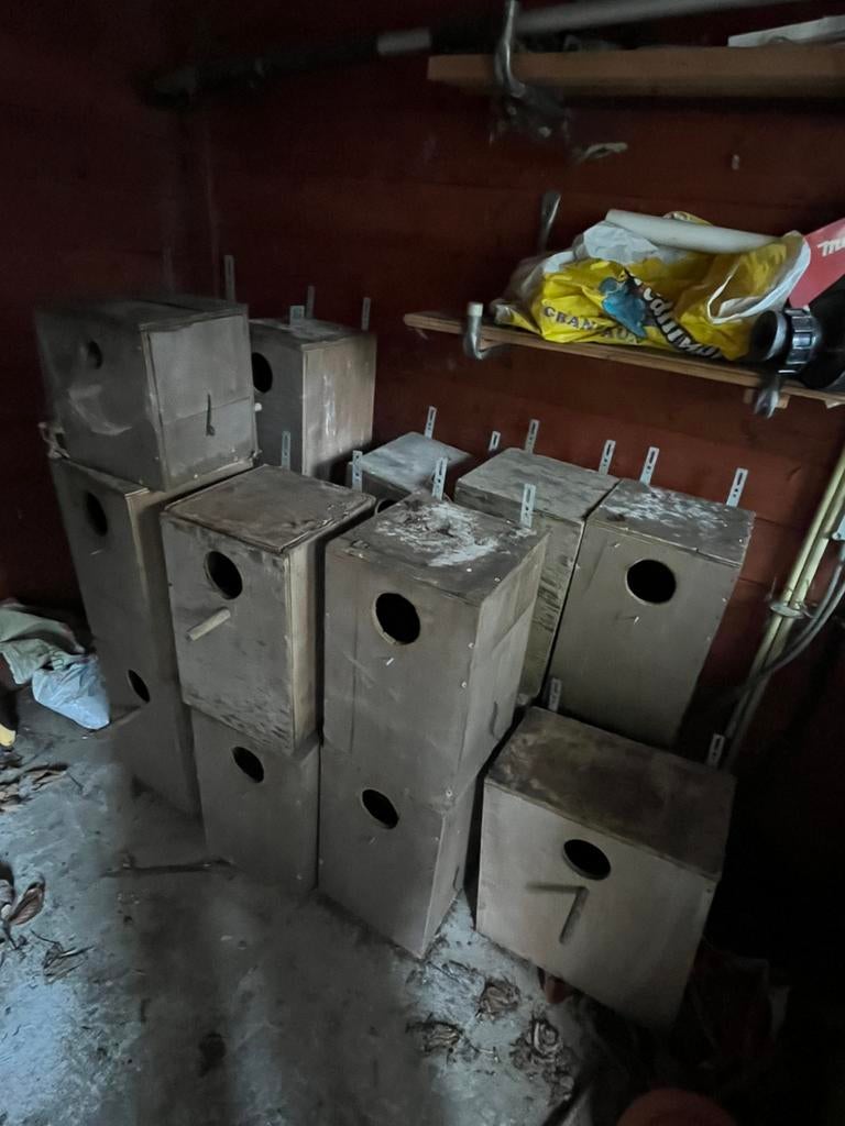 Vogelhuisjes voor parkieten, Dieren en Toebehoren, Ophalen, Zo goed als nieuw