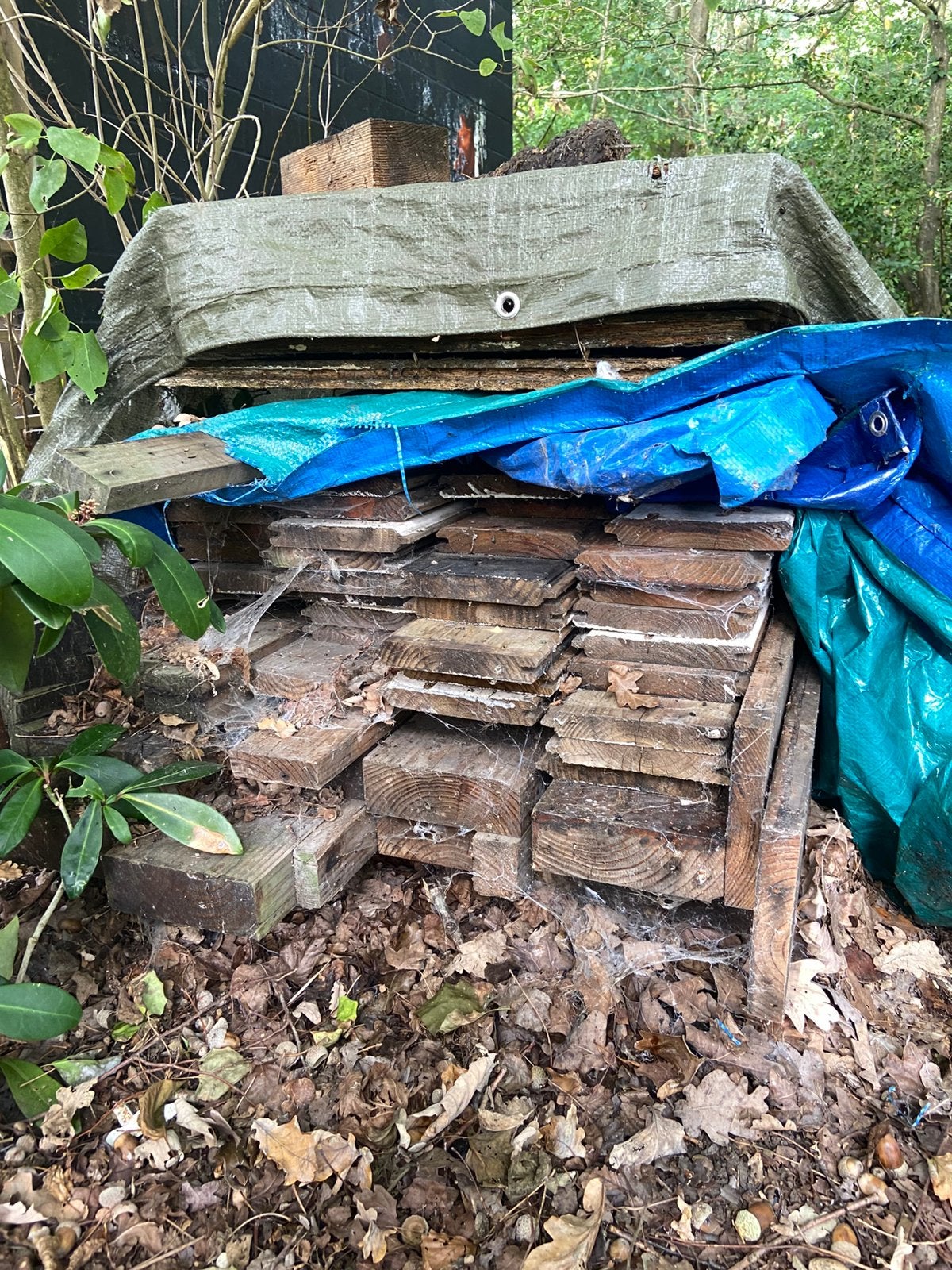 Partij hout Gratis, Doe-het-zelf en Bouw, Ophalen, Gebruikt, Balk