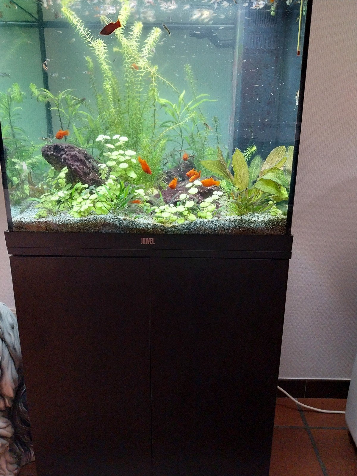 Mooi juwel aquarium 1.5j oud 60x40x130cm, Ophalen, Verwarming, Filter, Juwel