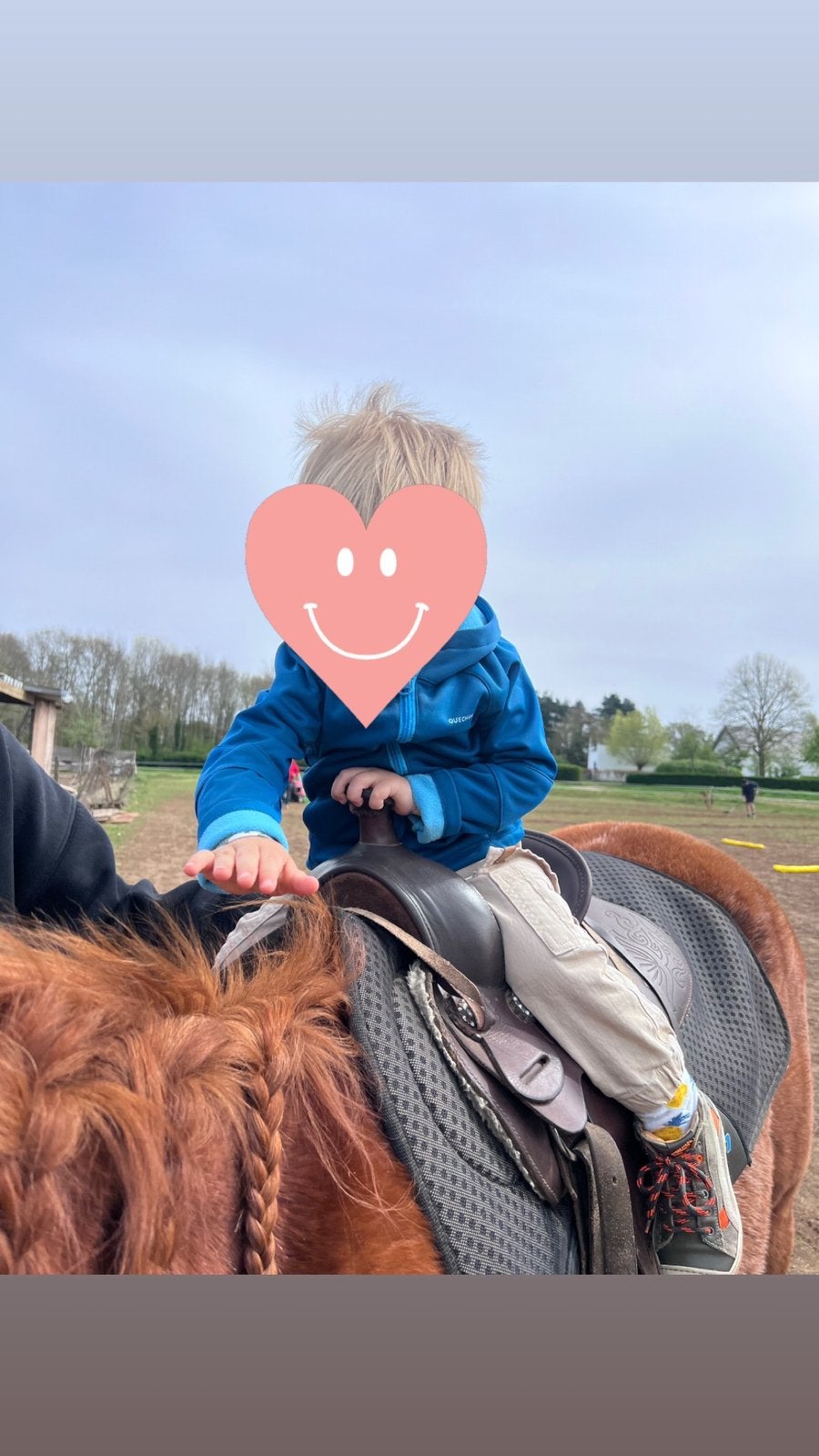 Kinder lessen, Animaux & Accessoires, Chevaux & Poneys | Produits de soin, Comme neuf, Enlèvement ou Envoi