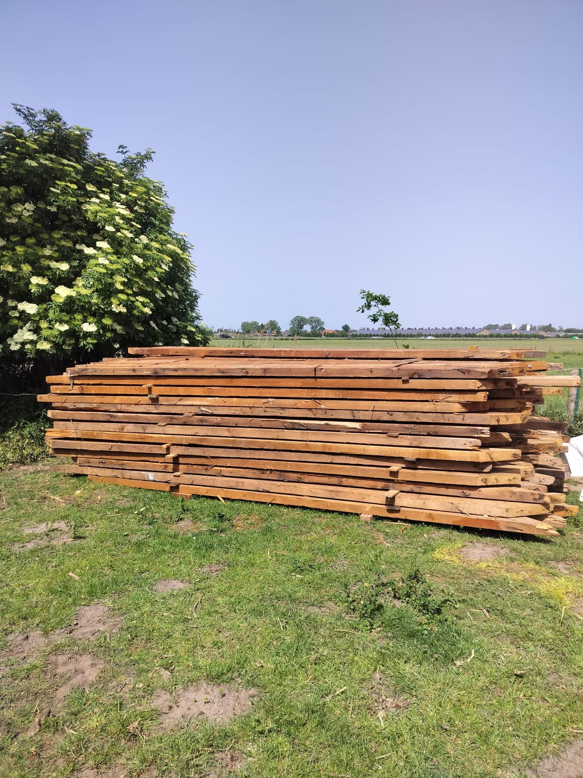 135 zeer stevige balken/badings, Ophalen, Zo goed als nieuw, 250 cm of meer, Balken