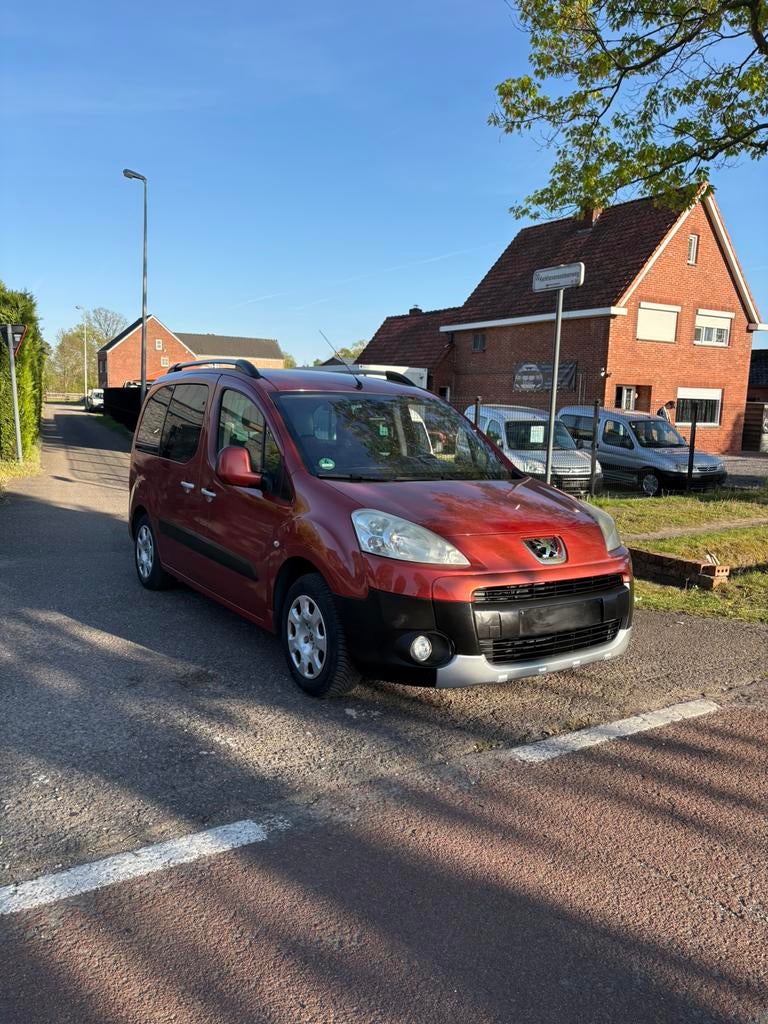 Tipi Peugeot Partner, Achat, Entreprise, Euro 4, Essence