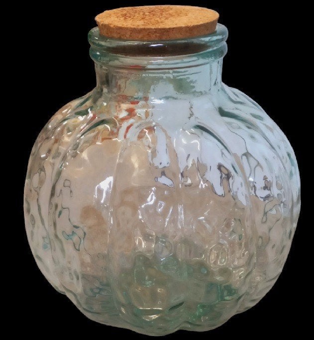 grote glazen pompoen, Ophalen
