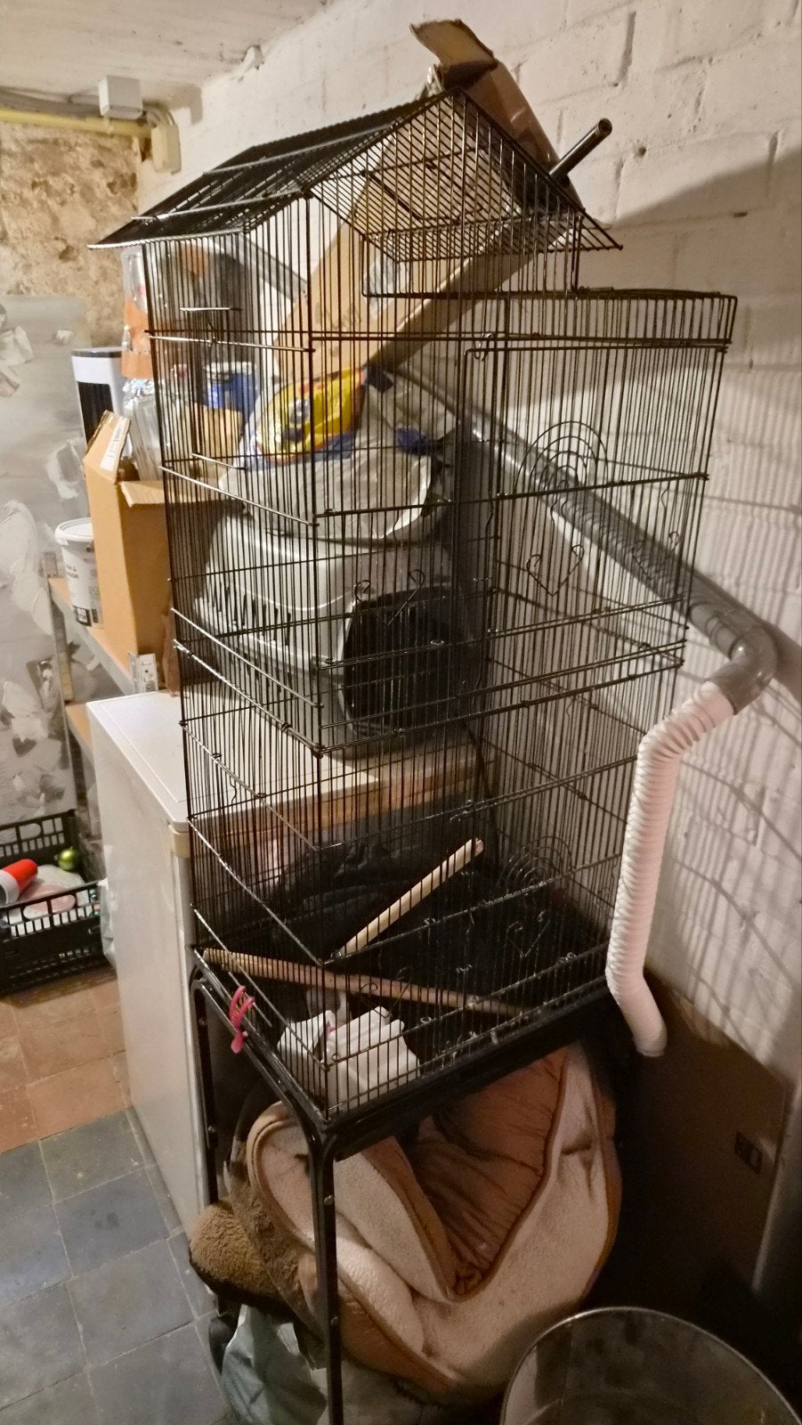 cage oiseaux  complete plus pied, Animaux & Accessoires, Enlèvement