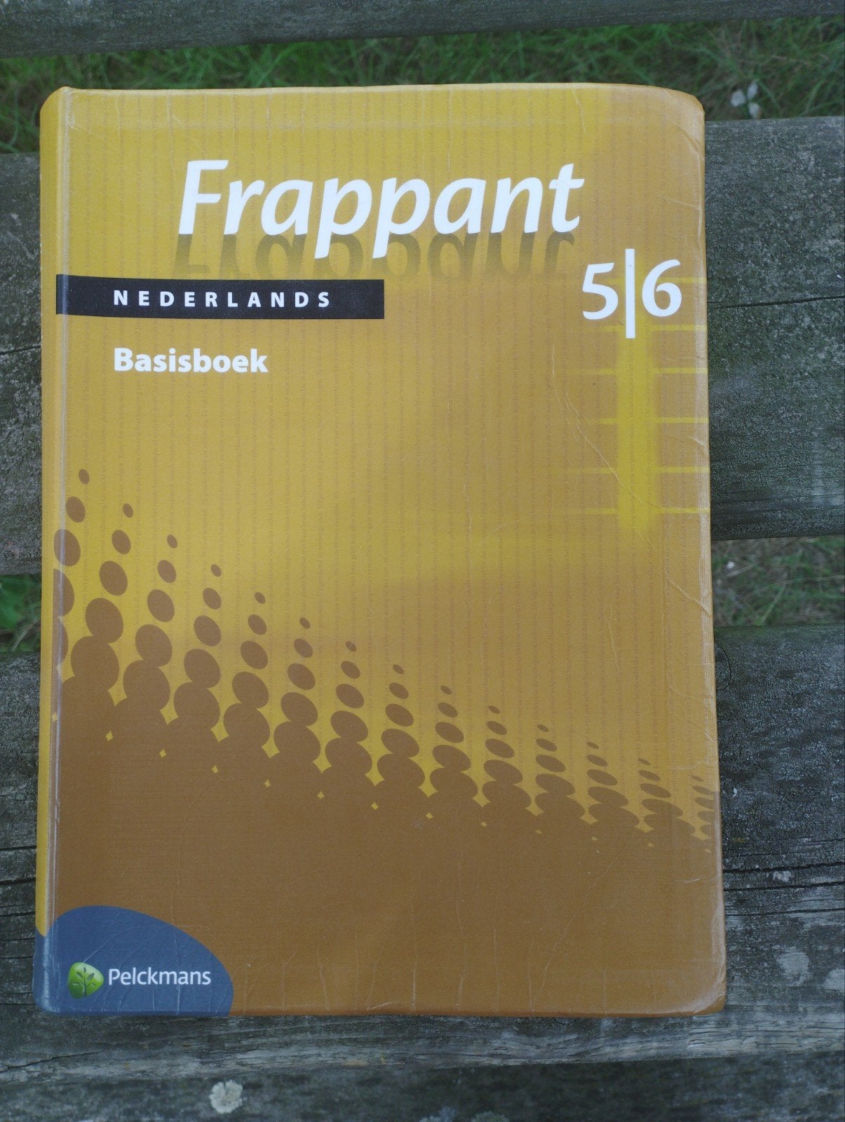 Frappant Nederlands basisboek 5/6, Boeken, Ophalen of Verzenden