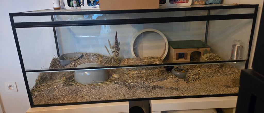 Hamster terrarium 120x50x50 met schuifdeurtjes, Dieren en Toebehoren, Kooi, Hamster, Ophalen, Minder dan 60 cm