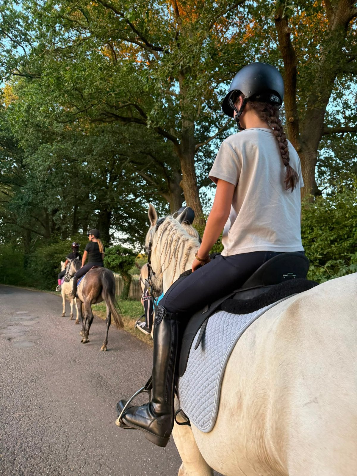 Super lieve merrie ( materiaal inbegrepen ), Dieren en Toebehoren, Merrie, L