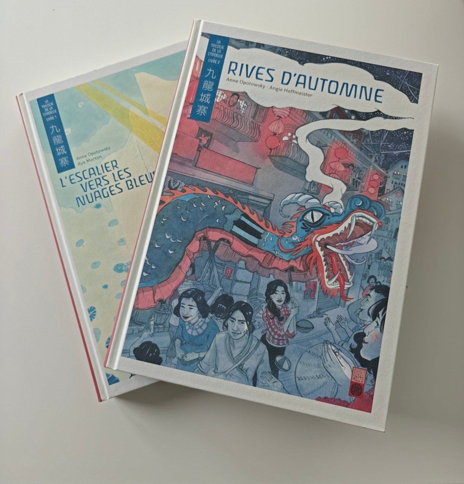 La trilogie de la Citadelle, livre 1 et 2, Enlèvement