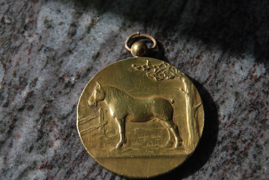 MEDAILLE BRONZE.CHEVAL DE TRAIT.PAARDENKWEEKERS HASSELT 1922, Enlèvement ou Envoi, Bronze