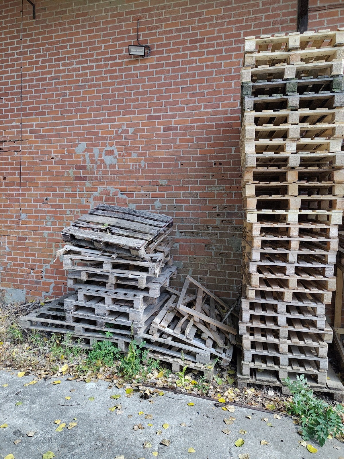 Palettes à donner, Bricolage & Construction, Enlèvement