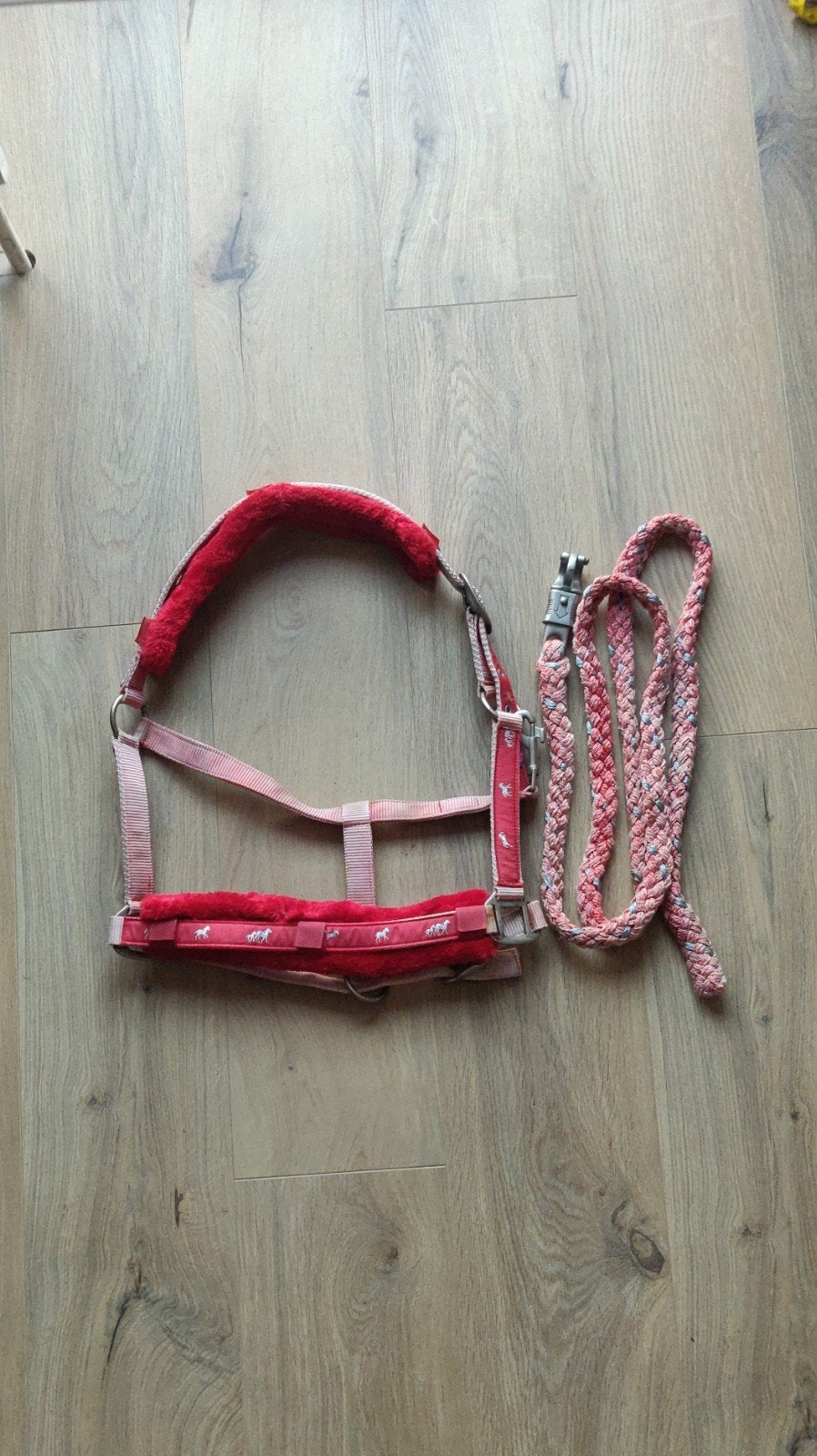 Leuk halster met bijhorend touw FULL, Dieren en Toebehoren, Ophalen of Verzenden, Rood, Halster, Full
