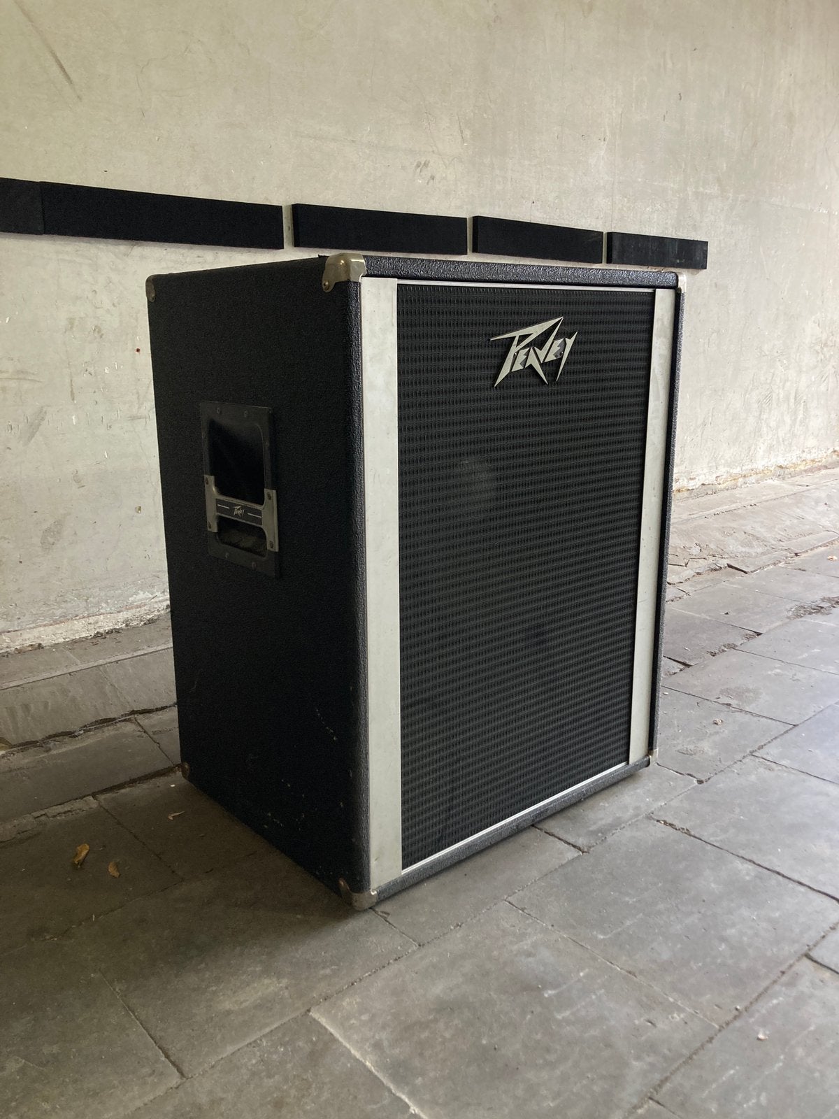 Peavey 118D bascabinet, Musique & Instruments, Amplis | Basse & Guitare, Enlèvement, Utilisé, Guitare basse