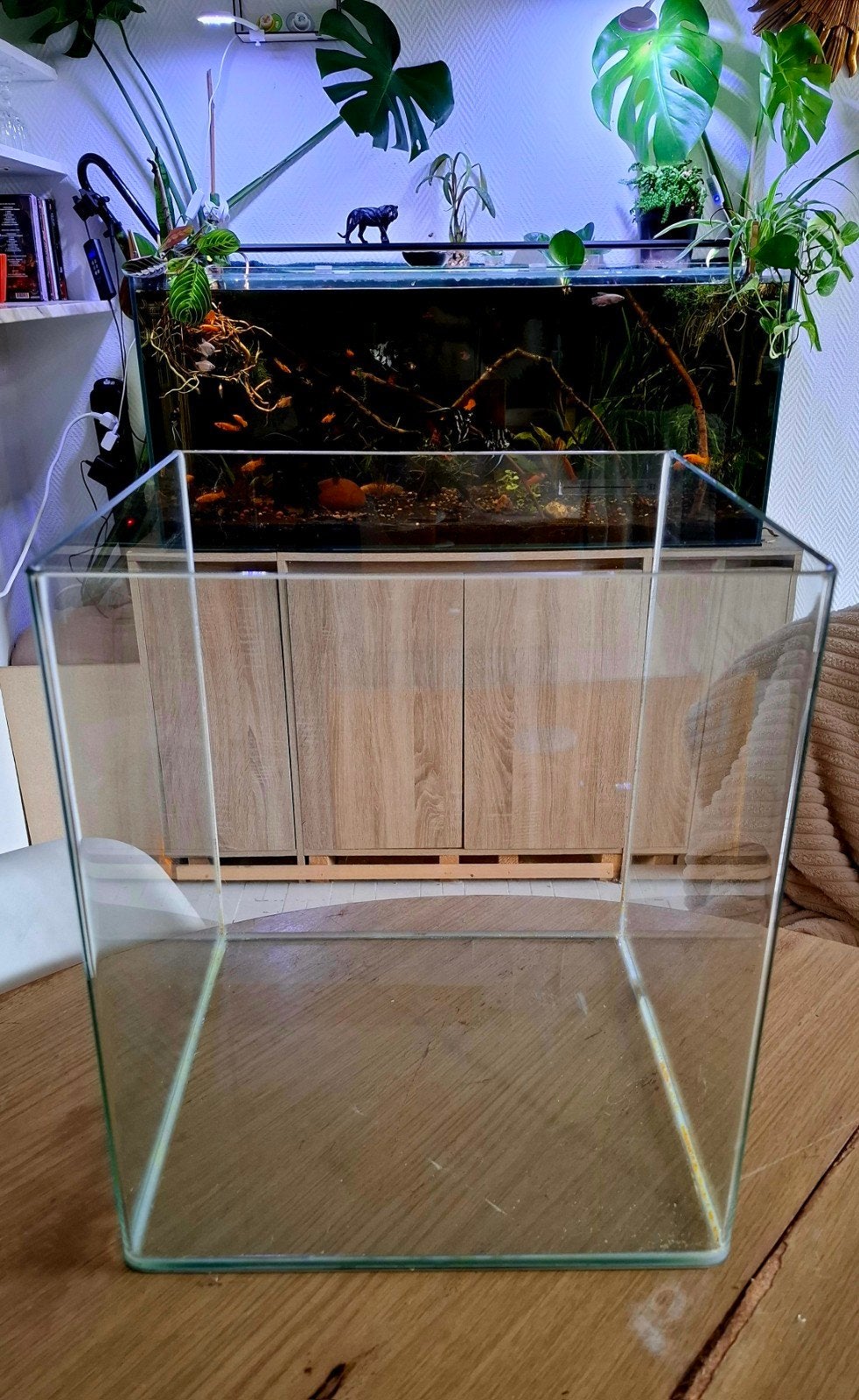 Nano cube 50, Ophalen, Zo goed als nieuw, Leeg aquarium, Dennerle