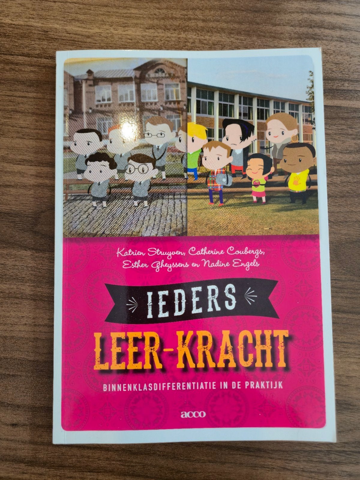Ieders leer-kracht - Binnenklasdifferentiatie in de praktijk, Boeken, Ophalen of Verzenden, Esther Gheyssens; Catherine Coubergs; Nadine Engels; Katrien ...
