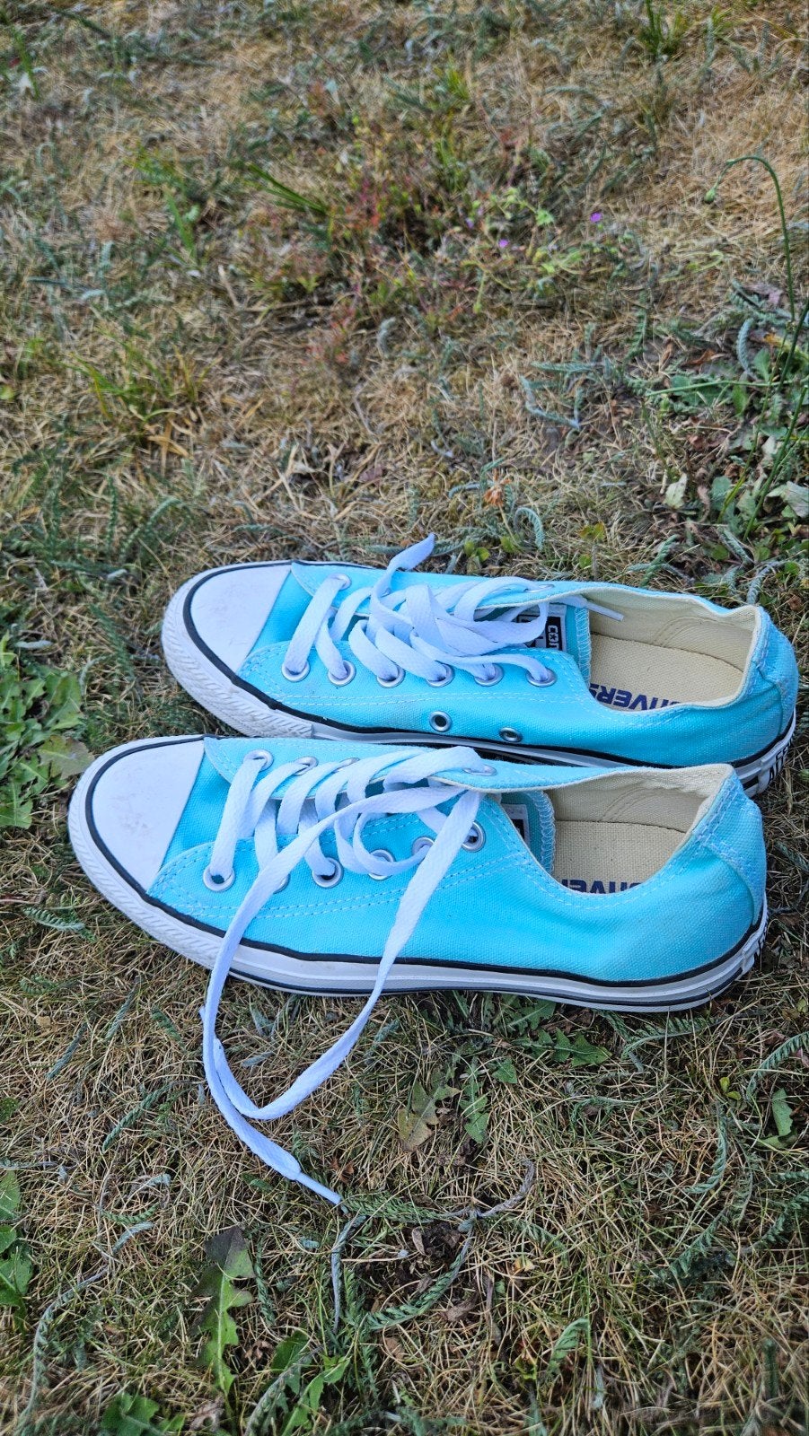 Blauwe all stars maat 37, Sport en Fitness, Loopsport en Atletiek, Ophalen of Verzenden, Nieuw, Overige typen, Overige merken