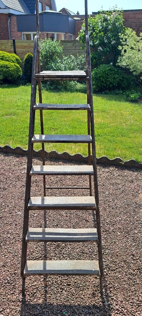 stevige trapladder, Doe-het-zelf en Bouw, Ladders en Trappen, Ophalen, Gebruikt, Ladder, Minder dan 2 meter
