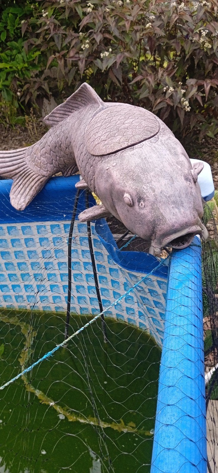 Fontein