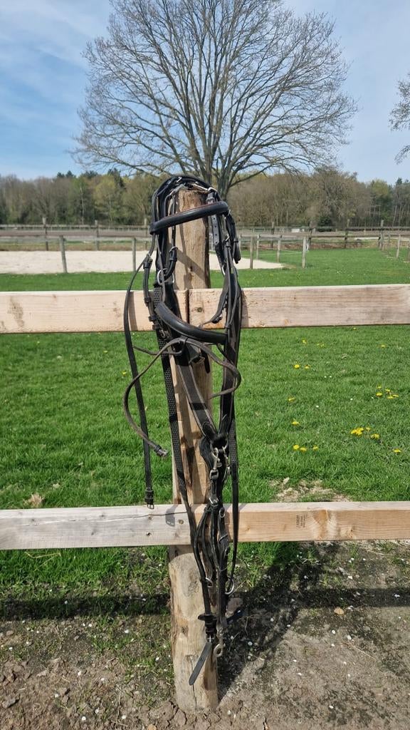 Hoofdstel zonder bit, Dieren en Toebehoren, Ophalen